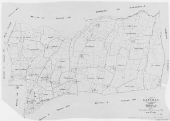 1 vue Section C, 2ème feuille, éch. 1/2500.