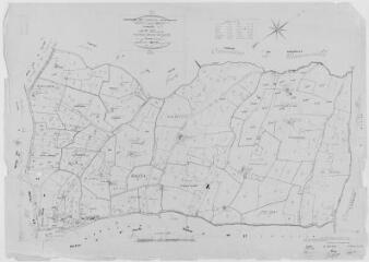 1 vue Section C, 2ème feuille, éch. 1/2500.