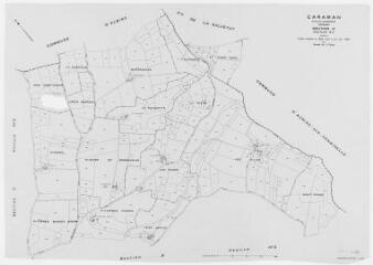 1 vue Section D, 1ère feuille, éch. 1/2500.