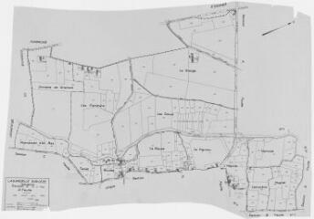 1 vue Section D, 2ème feuille, éch. 1/2500.