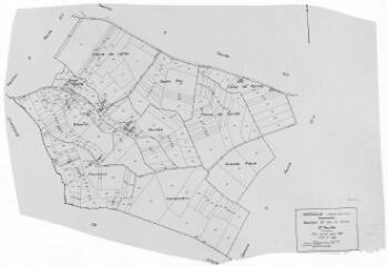 1 vue Section D, 2ème feuille, éch. 1/2500.