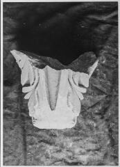 2 vues Film 17, cliché 9. Fragment de chapiteau : vue du dessous.