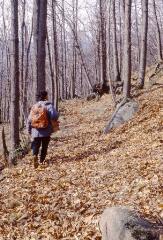 1 vue Randonneuse dans un sous-bois en automne-hiver.