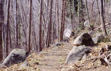 5 vues Blocs rocheux dans un sous-bois.