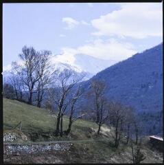 1 vue Molitg, Mosset, Col de Jau. Vue d'une route entourée de prés, de versants recouverts de forêts de sapins et des sommets enneigés du Canigou.