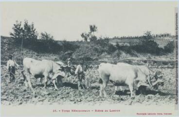 2 vues 35. Types méridionaux. Scène de labour. - Toulouse : album Labouche, 1987, réédition d'une carte éditée par Labouche frères. - Carte postale