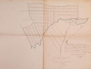 1 vue Plan d'un terrain communal en nature actuellement d'inculte situé dans la commune de Balesta, quartier de Catalan et Boussoum. Théodore Malle. 3 mai 1882. Ech. 1/2500.