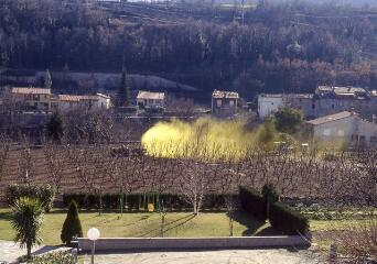 3 vues Vues d'un verger duquel s'élève une fumée jaune.