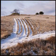 1 vue Vue de champs (traces de neige sur un chemin et dans les sillons).