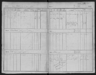 199 vues Ouvert le 10 novembre 1871 (volume 17).