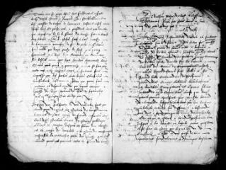 65 vues Commanderie de Toulouse : inventaire des titres des membres de Larramet, Estaquebiou, La Devèze et des biens sis à Balma et La Cavalerie de Saint-Cyprien.