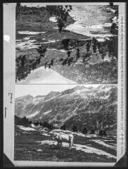 1 vue Deux images : à gauche, vallée du Marcadau (20 FI NC 1866) ; à droite, vache dans la vallée du Marcadau (20FI NC 1871).