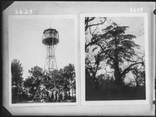1 vue Deux images : à gauche, Portugal : forêt nationale de Leiria : poste de vigie (20 FI NV 3621) ; à droite, Portugal. Bussaco : cyprès et chêne tauzin (20 FI NV 3608).