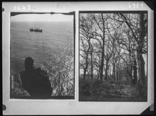 2 vues Deux images : à gauche, Portugal : cabo de São Vicente (cap Saint-Martin) (20 FI NC 3649) ; à droite, forêt nationale de Leiria (3981).