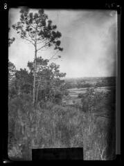 1 vue En montant au Quié de Lujat / cliché Henri Gaussen. - mai 1914.