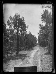 1 vue Saint-Martin-le-Vieil. - mai 1914.