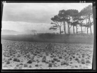 1 vue Canet : paysage. - 8 avril 1922.