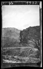 1 vue Banyuls : vallon de la Baillaury. - 6 octobre 1924.