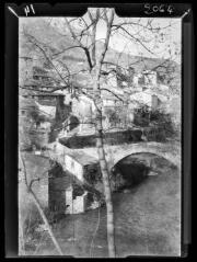3 vues Le village de Serdinya et la Têt. Frêne. Hameau de Joncet / cliché Henri Gaussen. - 10 avril 1922.