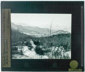 2 vues Taillis de châtaigniers à Saint-Laurent-de-Cerdans. Au fond Pla Guilhem (vue prise depuis le sud-est vers le Canigou) / cliché Henri Gaussen. - 8 février 1924.