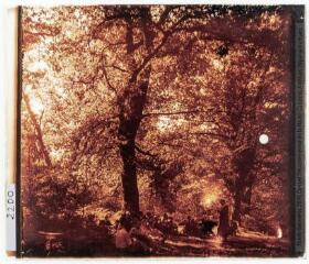 2 vues Dans la forêt de Saint-Pée-sur-Nivelle. - 8 juillet 1945.