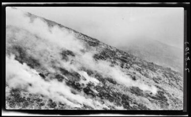 1 vue L'écobuage à feu courant dans les pâturages : incinération de bruyères et de genévriers. - 23 mars 1948. - Photographie