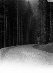 2 vues Traversée du bouquet d'épicéas au voisinage de la Glère. - 1937. - Photographie