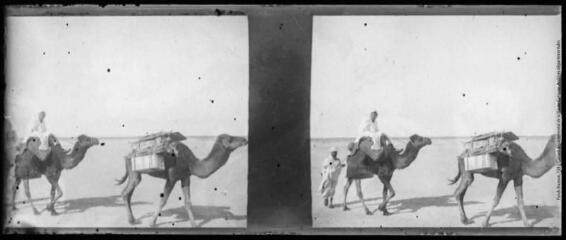 1 vue Voyage en Afrique de Nord, caravanes et bivouac.