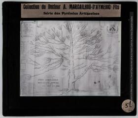 1 vue Arbre généalogique de la famille Marcailhou d'Aymeric.