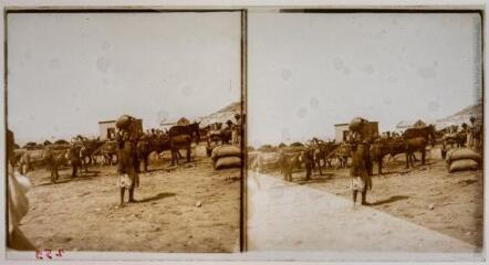 1 vue Vue d'un jeune garçon portant une jarre devant un troupeau