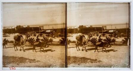 1 vue Vue d'un homme monté sur un âne suivi d'un chameau