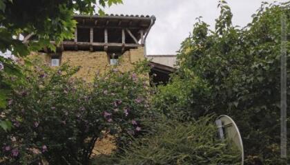 1 vue Vieilles maisons primitives / Delphine Gardonio photographe. - 14 juillet 2021. - Photographie numérique