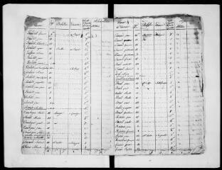 46 vues Commune de Montesquieu-Lauragais. 1 F 3.1 : listes nominatives de la population, 1807