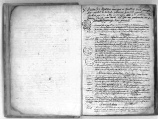 101 vues Toulouse. Paroisse de Saint-Michel, baptêmes, mariages, décès : 3 janvier 1745 - 30 juillet 1748. A partir de juin 1747, il n'y a plus dans ce registre que les baptêmes et les mariages. (collection communale)