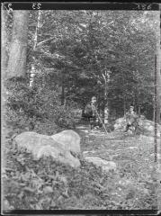 1 vue Sous-bois dans la forêt de Brassac / cliché Henri Gaussen. - août 1912.