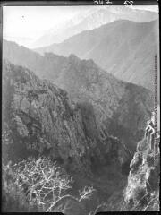 1 vue Saint-Martin-du-Canigou : gorges du Cady / cliché Henri Gaussen. - 3 janvier 1924.