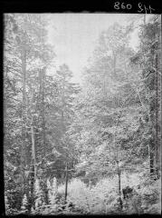 1 vue Jouéou, au fond le pic de la Pique. - août 1936.