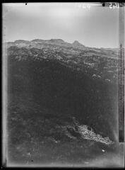 1 vue Pic d'Anie, les Arres, forêt d'Issaux. - juin 1943.