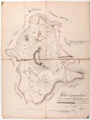 1 vue Plan topographique de la commune de Gourdan pour servir à l'instruction d'une demande formée par la section de Gourdan pour l'agrandissement du cimetière. Servat, géomètre. 27 mars 1880. Ech. 1/10000.