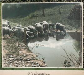 4 vues Scènes de vie et paysages