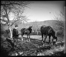 1 vue Mascotte novembre 1902.