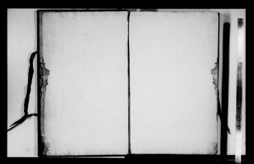 102 vues Lavelanet-de-Comminges, Archives communales, 1 G 2 : terrier seigneurial avec plans intercalés (Le seigneur est Claude Anceau, grand-maître des Eaux et Forêts en Languedoc, mort en 1738), début XVIe