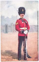 1 vue Série 8533. Types of the british army. Royal welsh fusiliers / dessiné par Knight photo. - Royaume-Uni : Raphaël Tuck & sons
