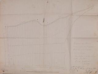 1 vue Commune de Benque, plan d'un pâtis communal lieu-dit Labarthe. Soubéran, géomètre. 30 juillet 1861. Ech. 1/1250.