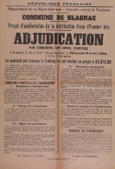 1 vue République française, département de la Haute-Garonne, arrondissement de Toulouse, commune de Blagnac, projet d'amélioration de la distribution d'eau (premier lot), adjudication par concours, sur appel d'offres. 7 mars 1934. Toulouse : Imp. Régionale.