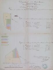 1 vue Commune de Caragoudes, plan des cimetières de Caragoudes pour servir à la division des concessions. T. Valette, expert-géomètre. 8 octobre 1878. Ech. 0,002 p.m.