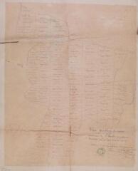 1 vue Plan parcellaire des vacants communaux de Charlas au quartier du Brouca. Duran. 11 mai 1861. Ech. 1/1250.