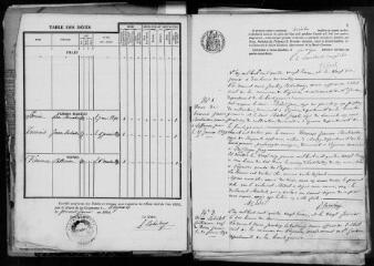 80 vues Peyrissas. 1 E 14 registre d'état civil : naissances, mariages, décès. (collection communale)