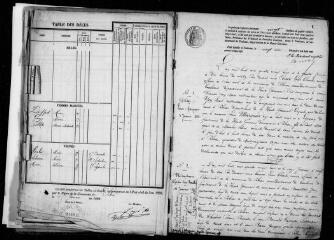 170 vues Pibrac. 1 E 14 registre d'état civil : naissances, mariages, décès. (collection communale)