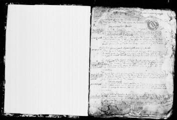 437 vues Villeneuve-Lécussan. 1 E 1 registre paroissial : baptêmes, mariages, sépultures. (collection communale)